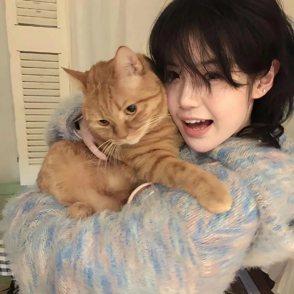 国家宝藏第四季